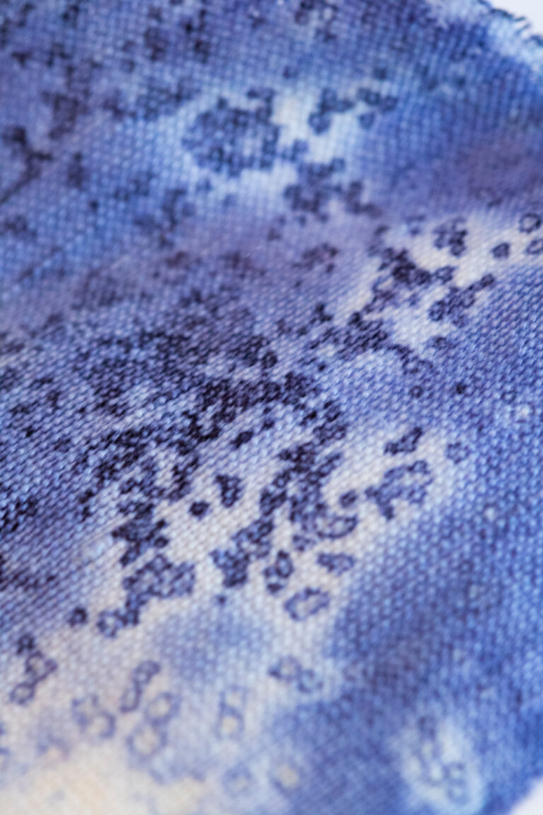 Julia Moser / Growing Patterns Living Pigments / Colorants textiles (matières textiles diverses: fibres naturelles - lin, coton, laine, – fibres synthétiques - polyester, tencel, viscose) / 2022 / Autriche / © Julia Möser